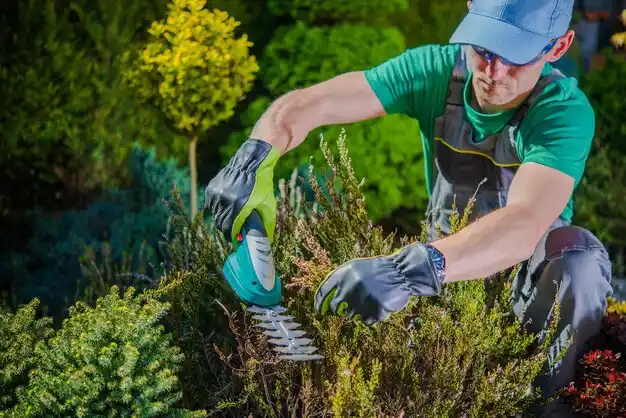 landscaping services Shenandoah
